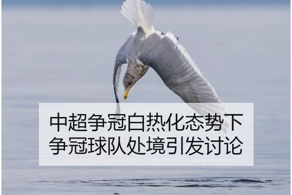 中超争冠白热化态势下 争冠球队处境引发讨论